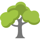 Murfreesboro Tree Trimming