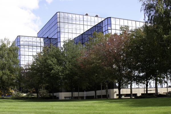 Commercial Tree Trimming in Murfreesboro
