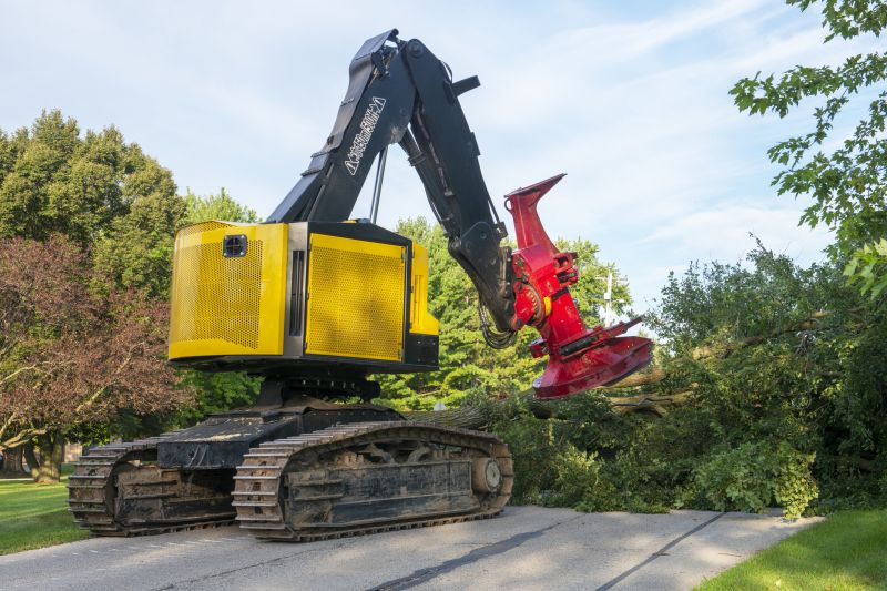 Tree Trimming