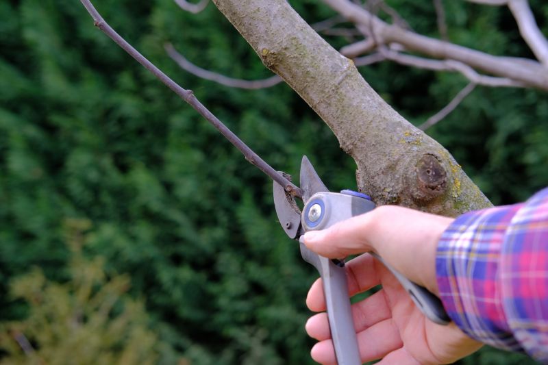 Branches Pruning