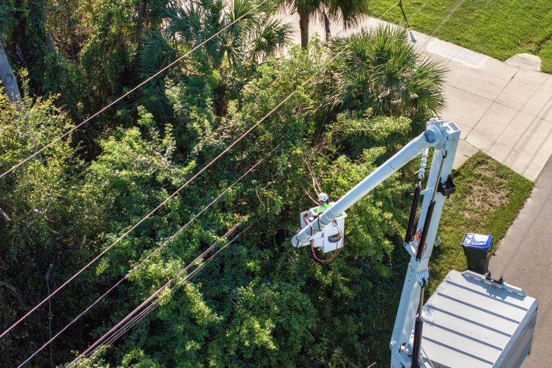 Emergency Tree Trimming