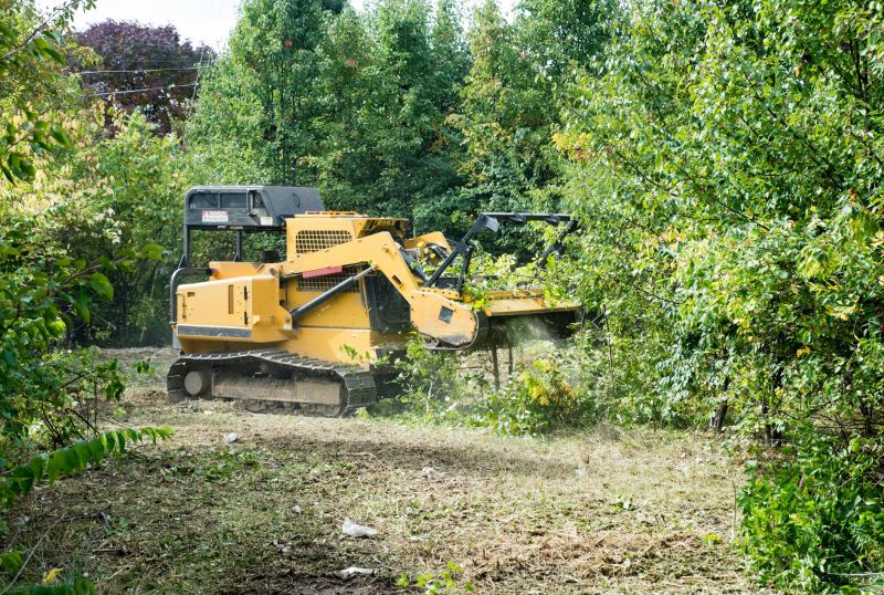 Tree Removal Equipment in Action
