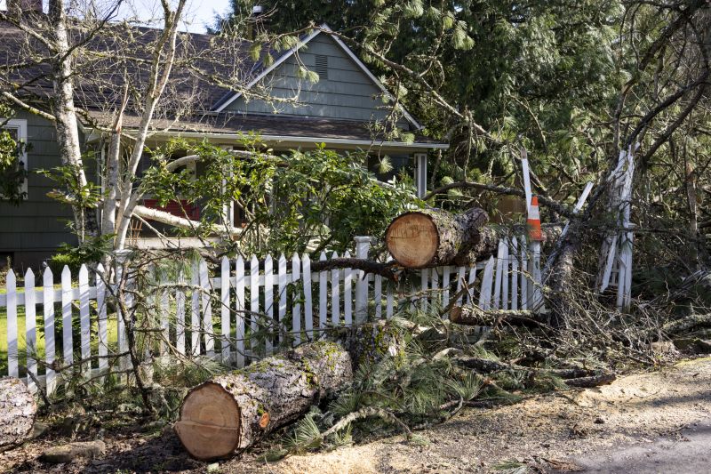 Clearing Debris from Property