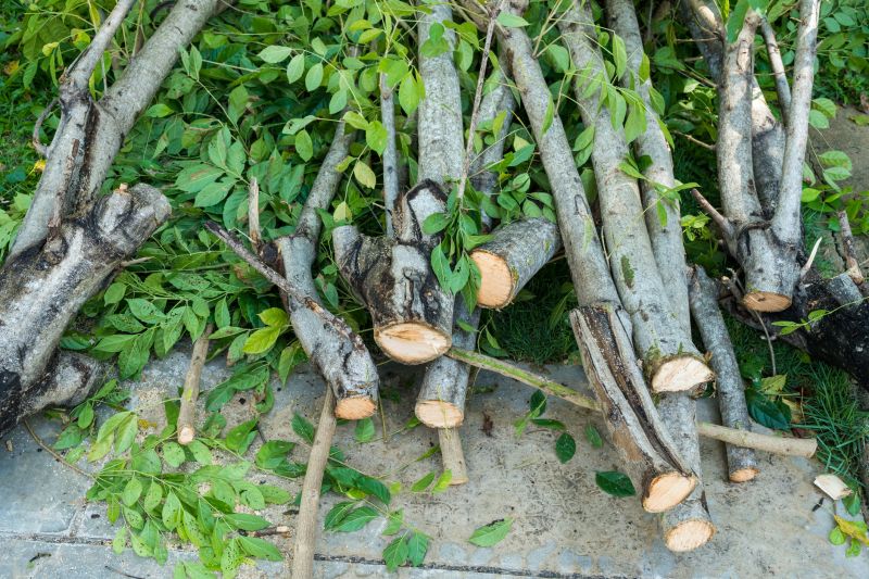Tree Branch Cutting detail