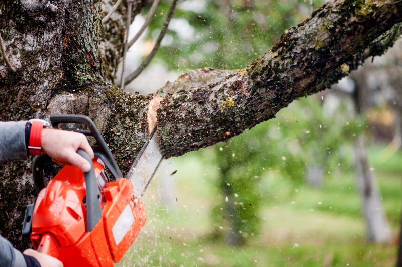 Tree Branch Cutting detail