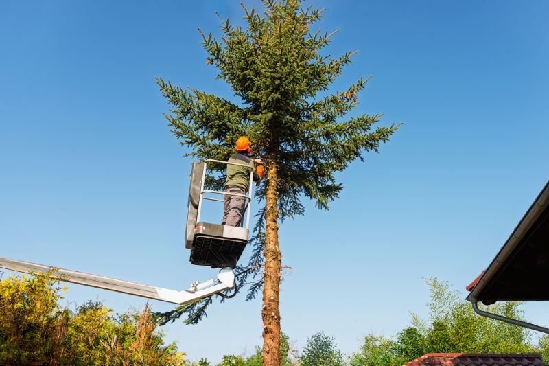 Tree Branch Cutting detail