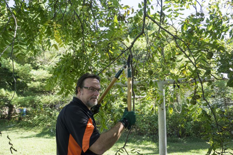 Tree Pruning detail