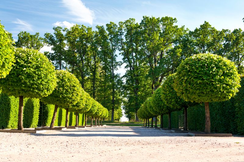 Tree Pruning detail