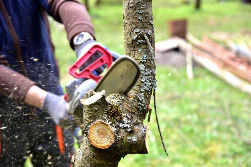 Tree Shearing detail
