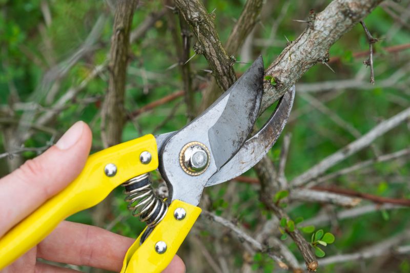 Limbs Trimming