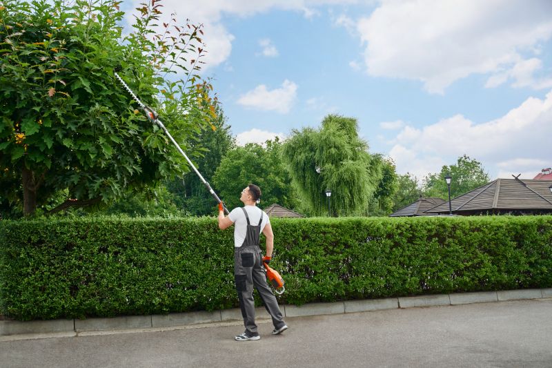 Peach Tree Trimming