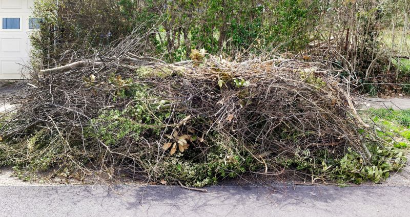 Tree Limbs Removal