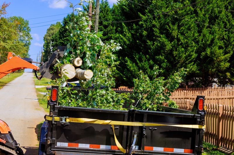 Tree Limbs Removal