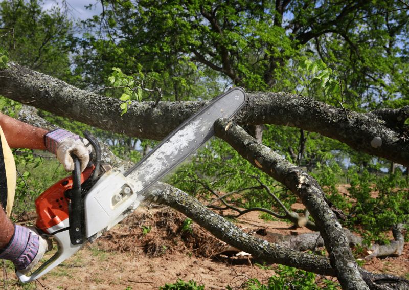 Tree Shearing