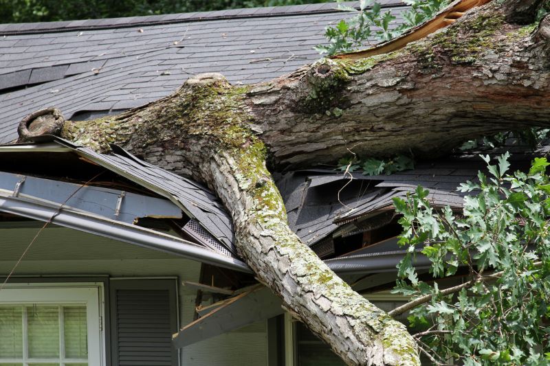 Storm Damage Repair
