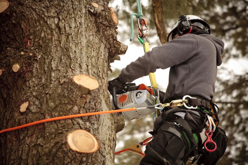 Safety and Risk Management