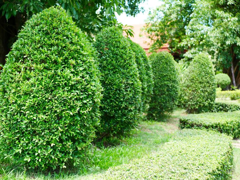 Landscape Enhancement