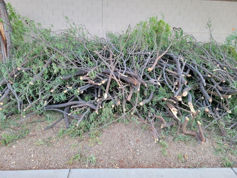 Tree Trimmings