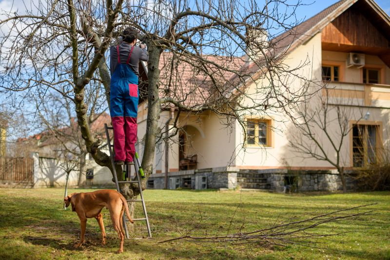 Tree Trimmings